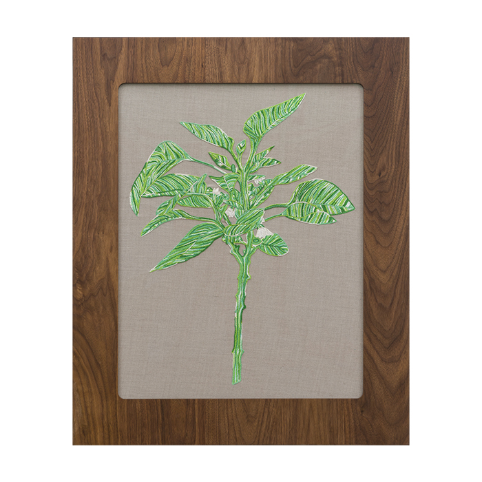 Embroidered Pepper Plant
